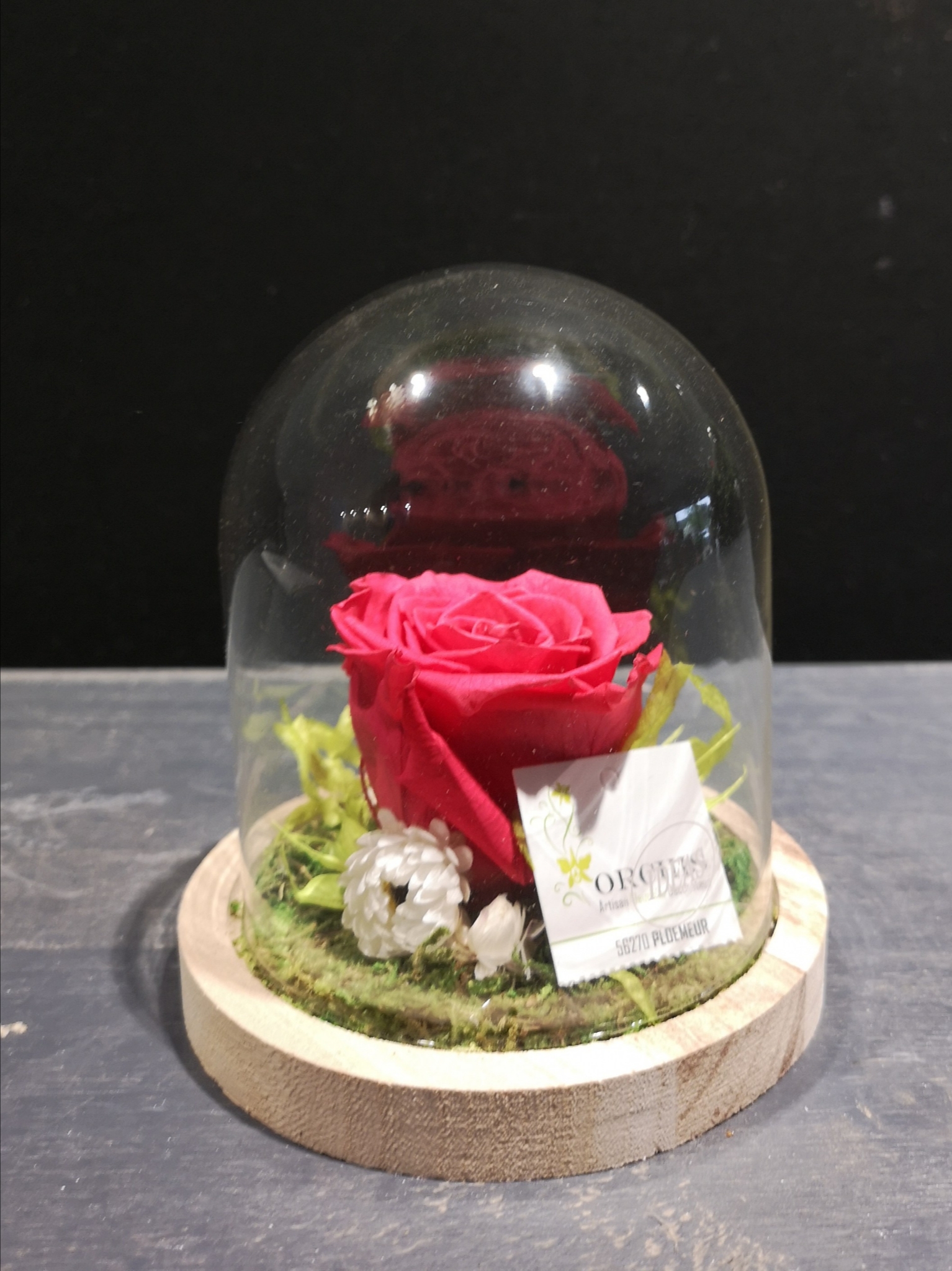 Rose éternelle sous cloche – Orchis Artisan Fleuriste